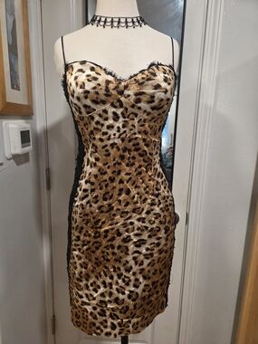 Dina Bar-El Sexy Leopard with Lace Trim Dress